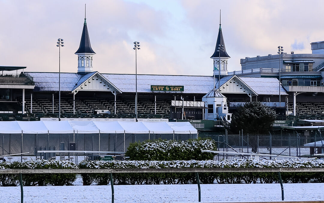 Snowy Churchill Downs-4.jpg